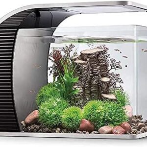 aquarium hygger 19 litres